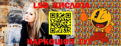 ГАЛЛЮЦИНОГЕННЫЕ ГРИБЫ Камышлов