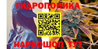 ALPHA PVP Канаш
